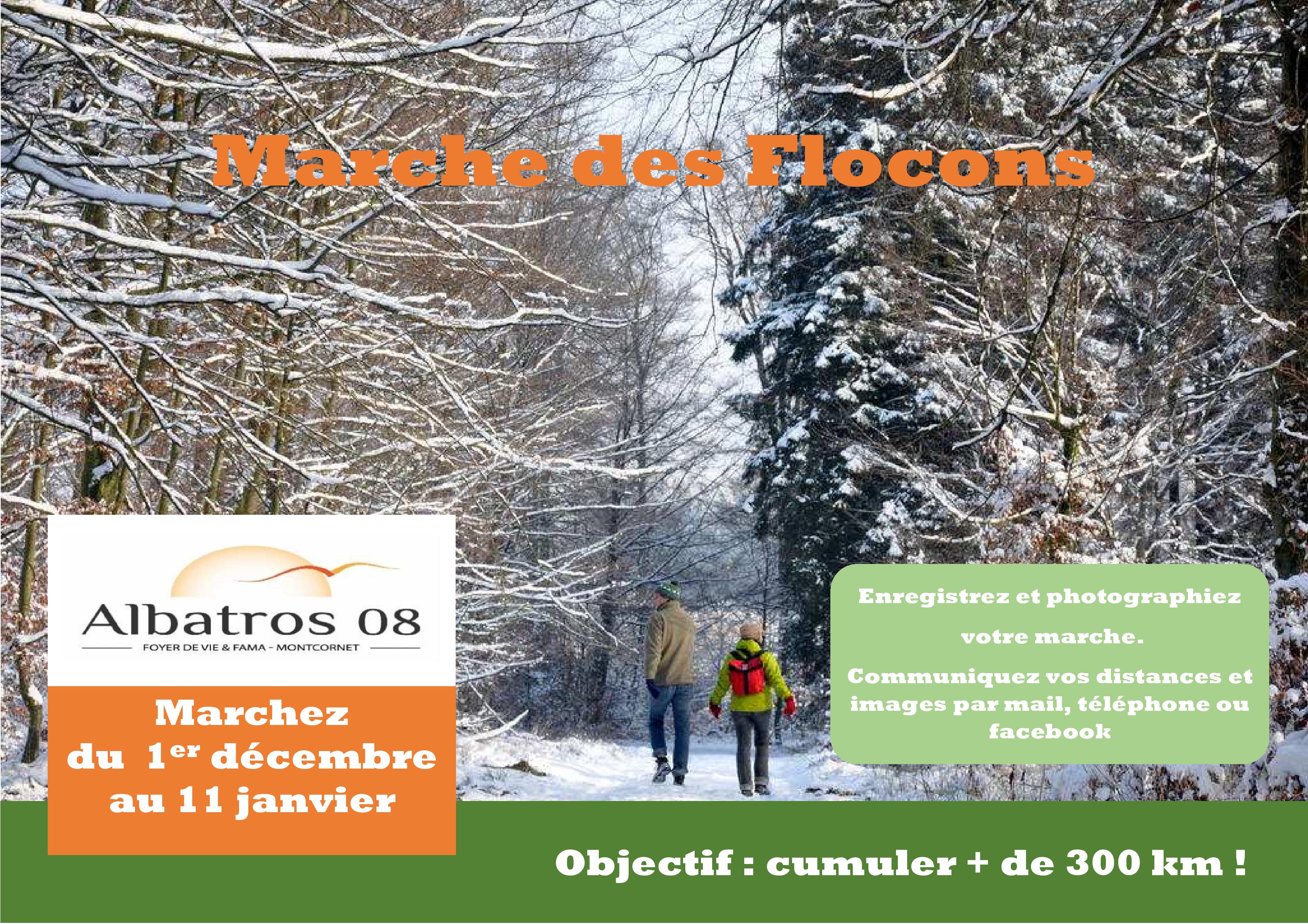 affiche-marche-des-flocons.jpg